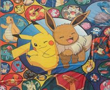 Pokemon blanket x 2