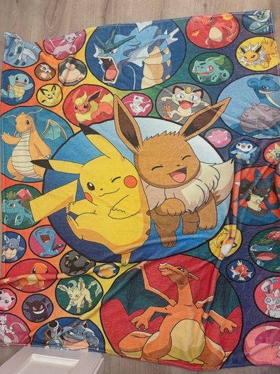 Pokemon blanket x 2