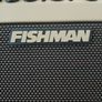 Fishman Loudbox Artist and Thon Flight case Image 4
