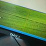 Dell desktop PC and Monitor Image 4