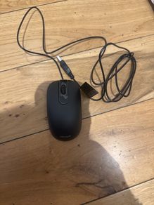 mouse