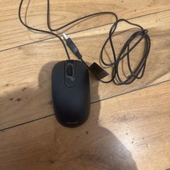 mouse