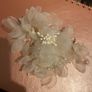 Champagne colour hair clip Image 6