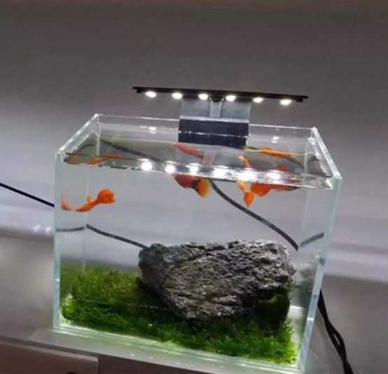 Fish Tank Accessories
