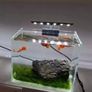 Fish Tank Accessories Image 3
