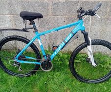 Bike Torpado chiron XL