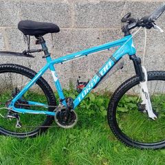 Bike Torpado chiron XL