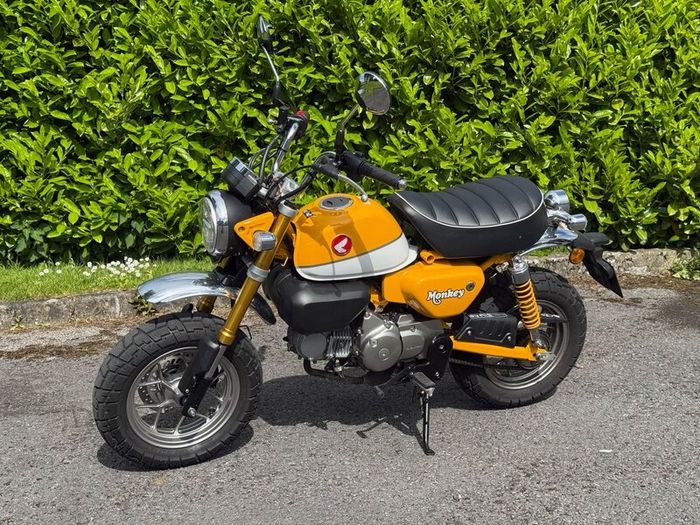 Honda Monkey 125 - Banana Yellow