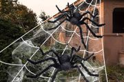 2pcs Black Giant Spider, Triangular Cobweb 5m 4.8m, Plastic Spiders 30pcs, Spider Web 40g for Halloween Decorations Indoor Outdoor Home Yard