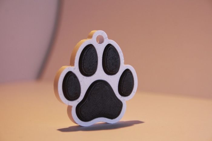 Personalised 3D Printed NFC Smart Pet Tag / Keychain
