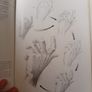 How To Draw Books x 3 Image 5