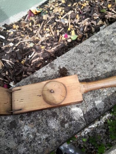 vintage lemon squeezer