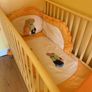 cot Image 2