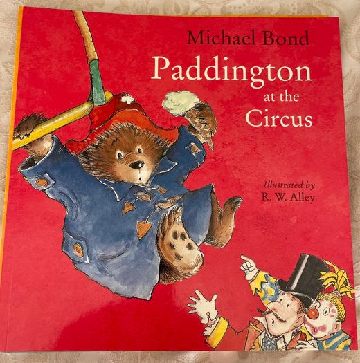 Paddington Book Bundle - 10 Books - New