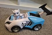 Rory from Cat Pack