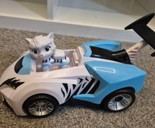 Rory form Cat Pack