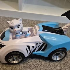 Rory form Cat Pack