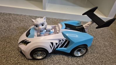 Rory form Cat Pack