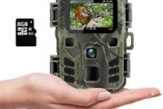 Mini Wildlife Camera 20MP 1080P Trail Camera Infrared Night Vision 0.3S Motion Activated Waterproof Cam for Garden Camera Trap and Outdoor Nature Wildlife Scouting Include 8GB SD Card