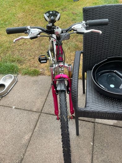 women's pink raleigh bike