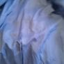Libra ladies jacket size 16 Image 3
