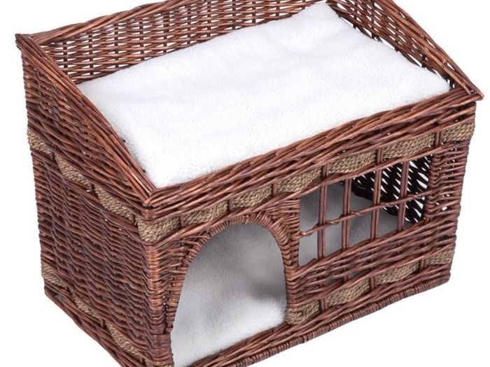 Pueblo Cat Den