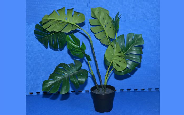 Artificial Monstera Potted Plant that is Pet Friendly