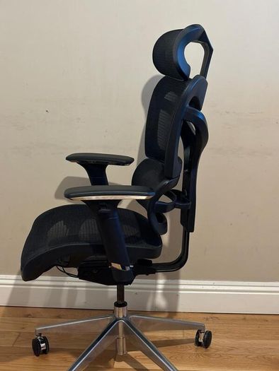 Dorsum Executive Ergonomic Mesh Office Chair (negotiable)