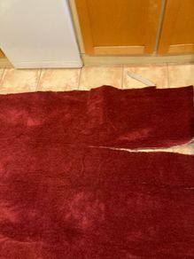 carpet offcut