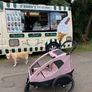 Hauck 2in1 Dryk Duo Bike Trailer / Buggy for Kids Image 3