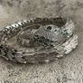 Snake Bangle Image 2