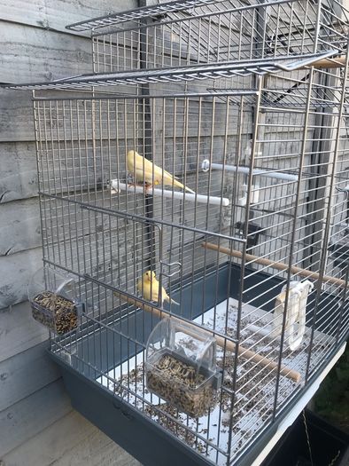 cage