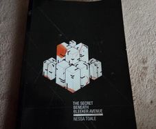 The Secret Beneath Bleeker Avenue By Nessa Toale - signed copy