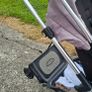 buggy Image 2