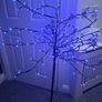 Tree...reduced To Image 4