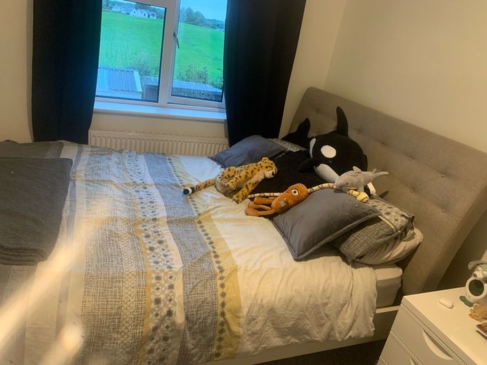 King size Bed with mattress