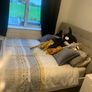 King size Bed with mattress Image 4