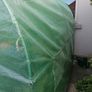 Greenhouse Image 3