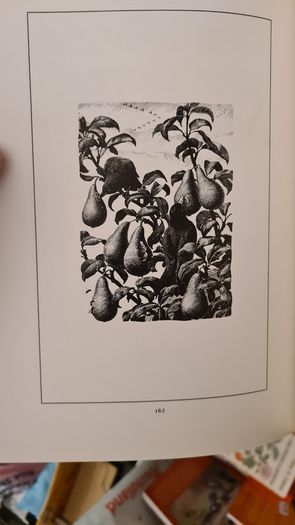 The Peverel Papers By Floral Thompson. A Yearbook Of The Countryside Hardback With Dustjacket In Very Good Condition.