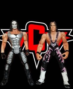 WCW Toy Biz Figures