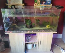 180L tank and stand
