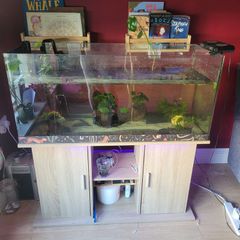 180L tank and stand