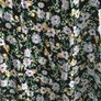 BRAND NEW Ladies Floral Dress: Size 10 Image 3