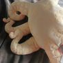 finding nemo soft toy Image 6