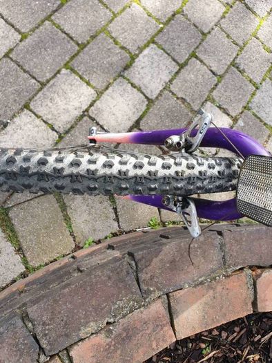 Raleigh Moonshine MTB