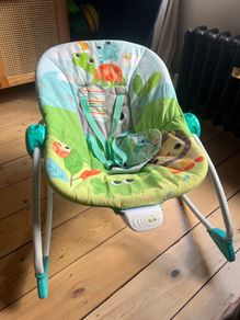 Bright Starts Baby Bouncer