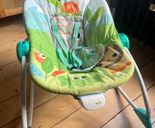 Bright Starts Baby Bouncer