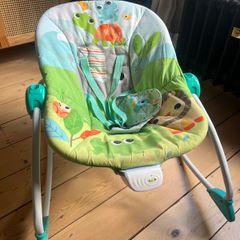 Bright Starts Baby Bouncer
