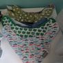 Bibs Image 2