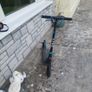 Bike Image 4